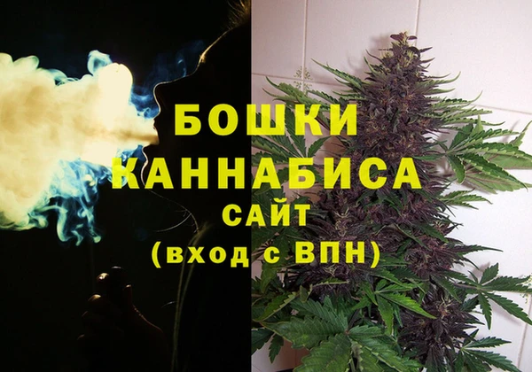apvp Арсеньев
