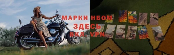 apvp Арсеньев