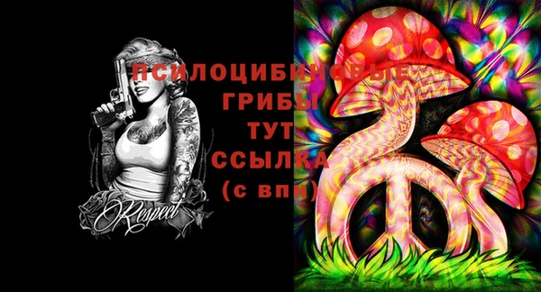 apvp Арсеньев
