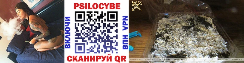Галлюциногенные грибы Magic Shrooms  mega ссылки  Циолковский 